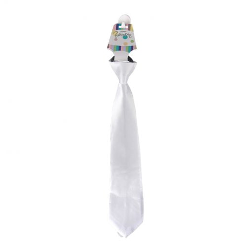 Zip Tie in white color, ideal for various fastening needs and easy organization.