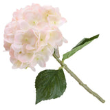 💐 Hydrangea Artificial Flower Stem (21)