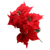 X-mas V.B Flower featuring vibrant red petals, perfect for holiday decorations.