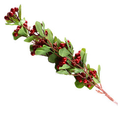 Red Berry