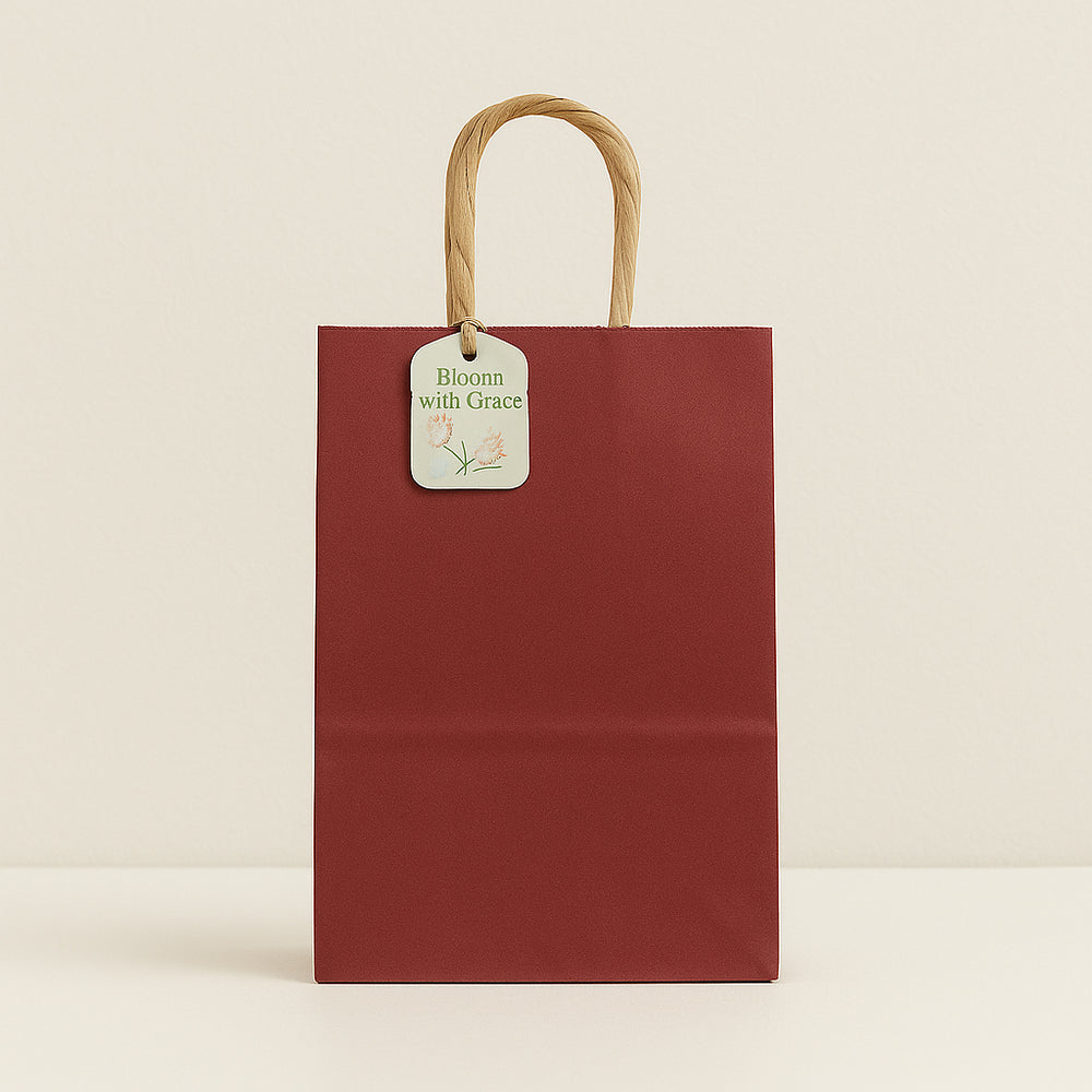Craft Solid Colour Bag(2PCS/42*31*12CM) - Red kraft paper bag with sturdy handles for eco-friendly gifting.