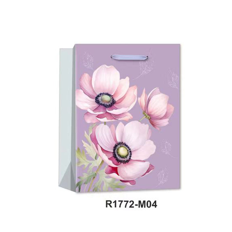 4F Gift Bag(18*24*8CM/R1772S)