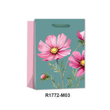 4F Gift Bag(26*32*10CM/R1772M)