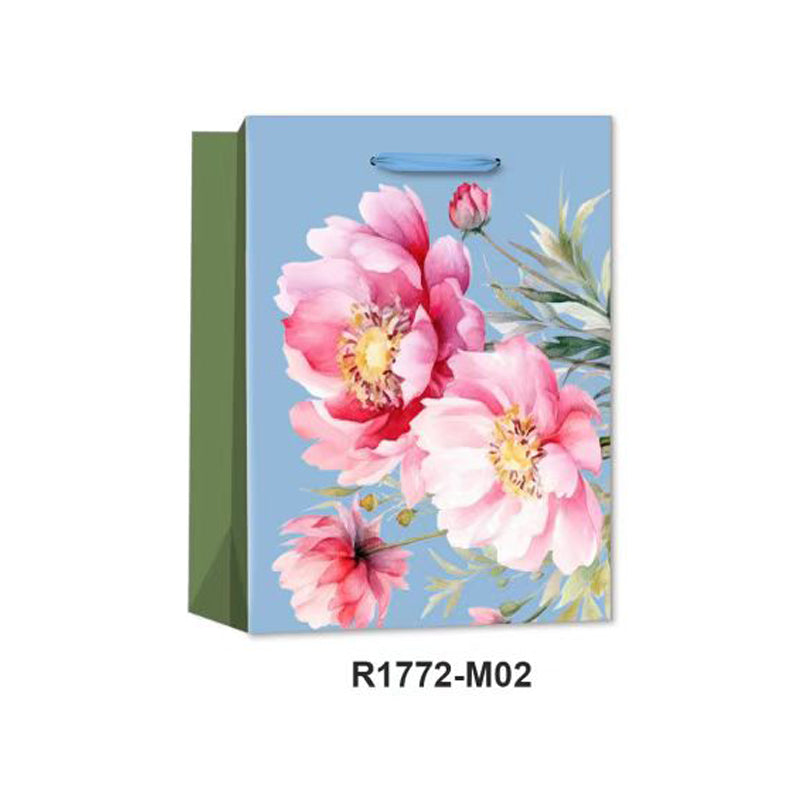 4F Gift Bag(30*42*12CM/R1772L)