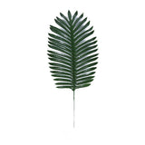 Basjoo Leaf