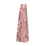 10PCS Gift Box Pink Stripe RT Whole Set