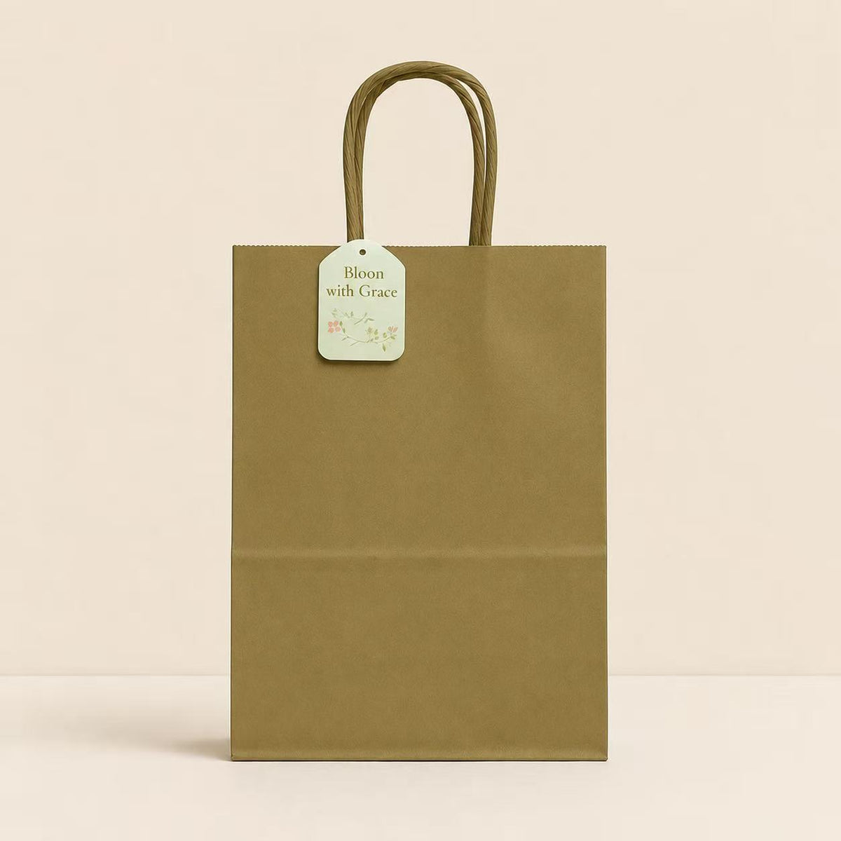 Craft G.S Colour Bag(3PCS/32*25*12CM/L)